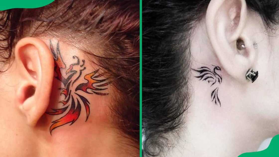 Small phoenix behind the ear tattoo Small phoenix behind the ear tattoo