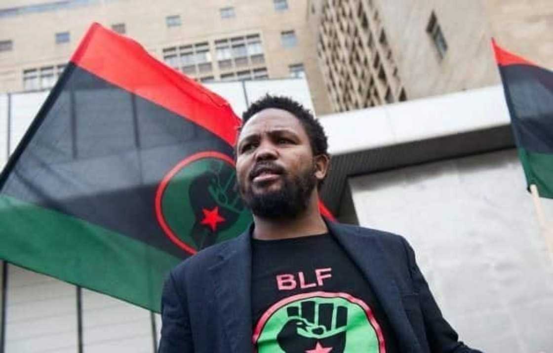 Andile Mngxitama biography: age, wife, education, BLF, Twitter and net worth