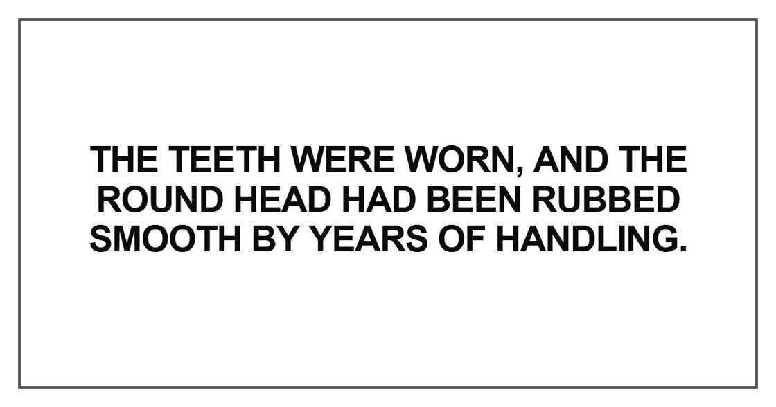 The teeth were worn The teeth were worn