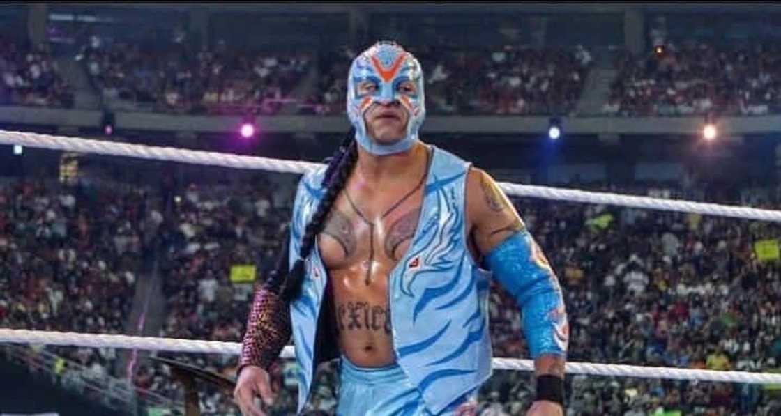 best wrestlers of all time best wrestlers of all time