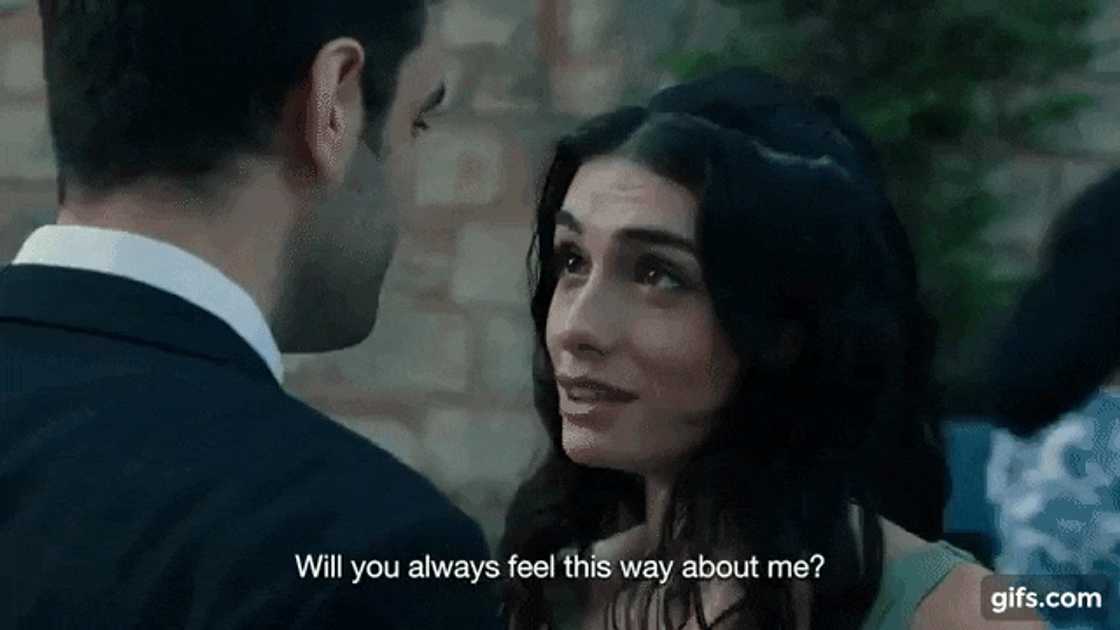 Fenix full story Fenix full story