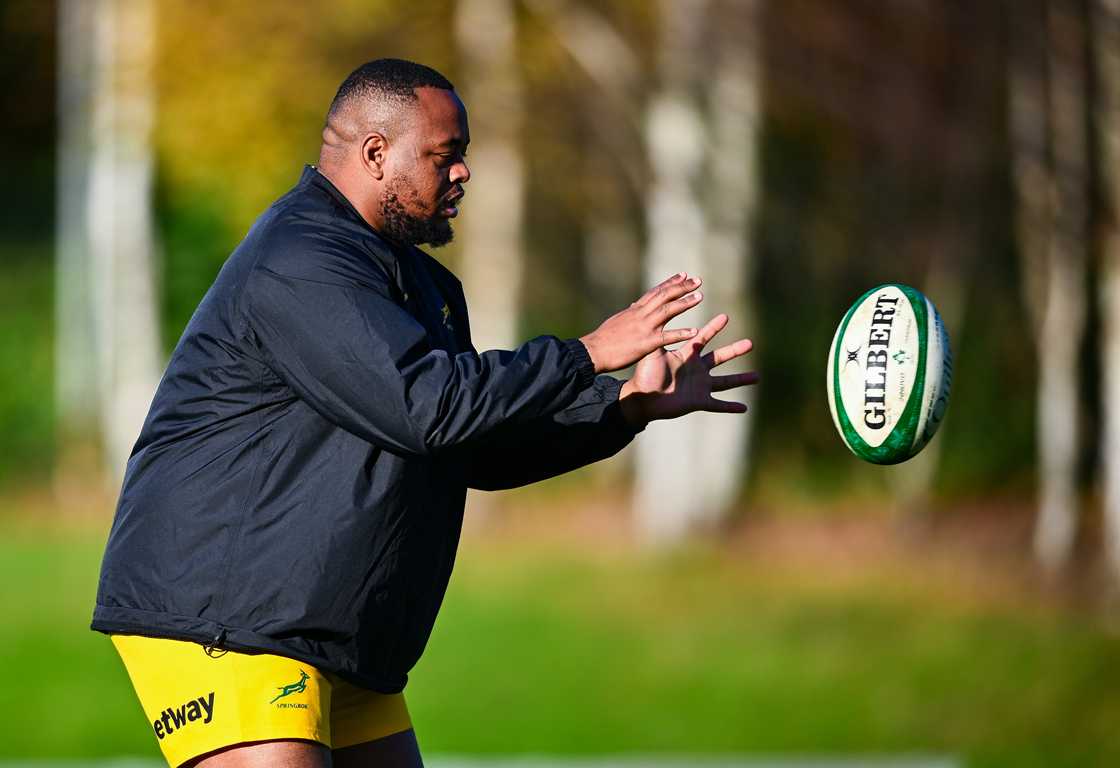 Asenathi Ntlabakanye, Springboks, South Africa