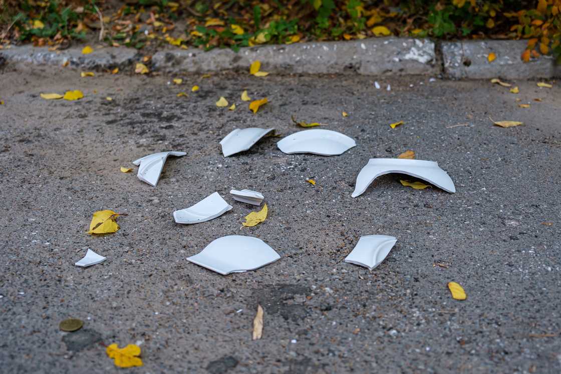 Fragments of broken white porcelain plate