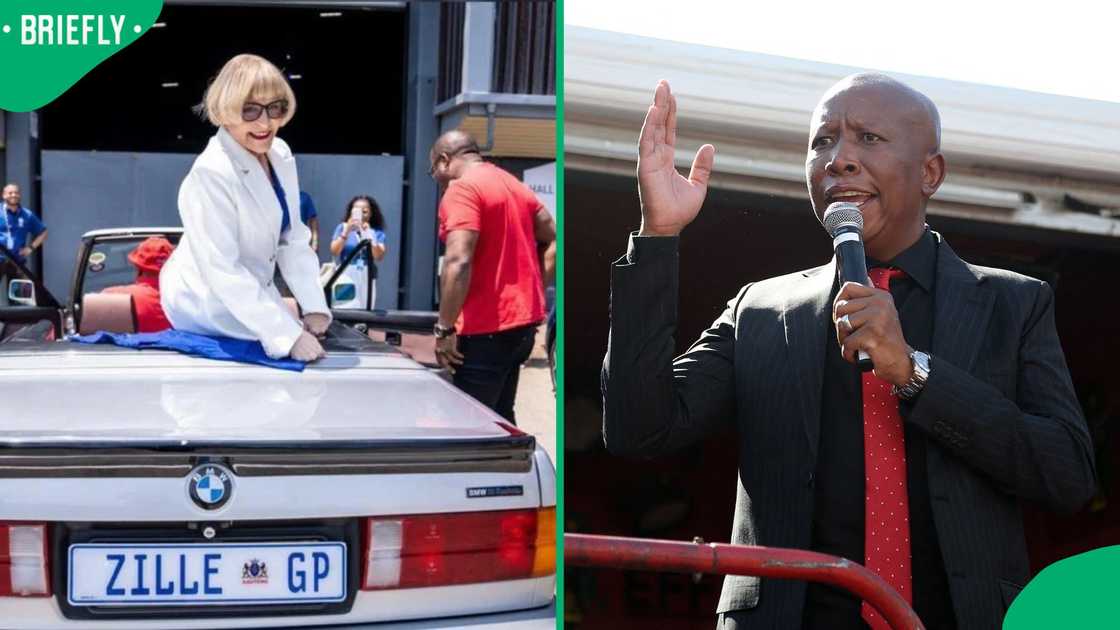 Julius Malema criticised Helen Zille