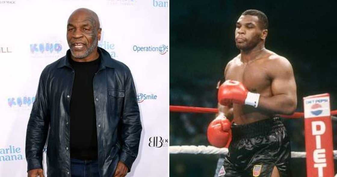 Mike Tyson, Boxer, Legend, Punching, Celebrity Mike Tyson, Boxer, Legend, Punching, Celebrity