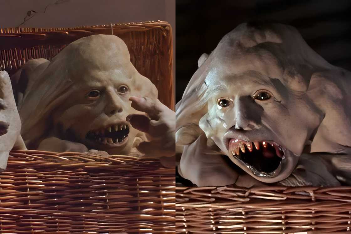 Belial Bradley Belial Bradley
