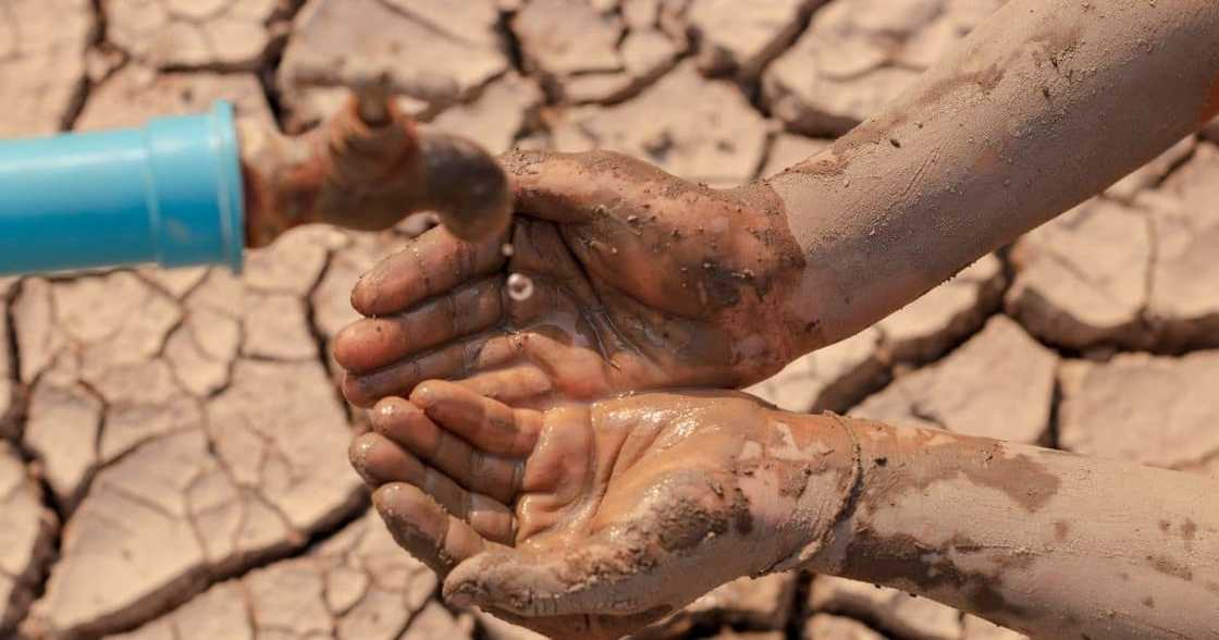 Nelson Mandela bay, dams, run dry, enough water, 38 days, drought Nelson Mandela bay, dams, run dry, enough water, 38 days, drought