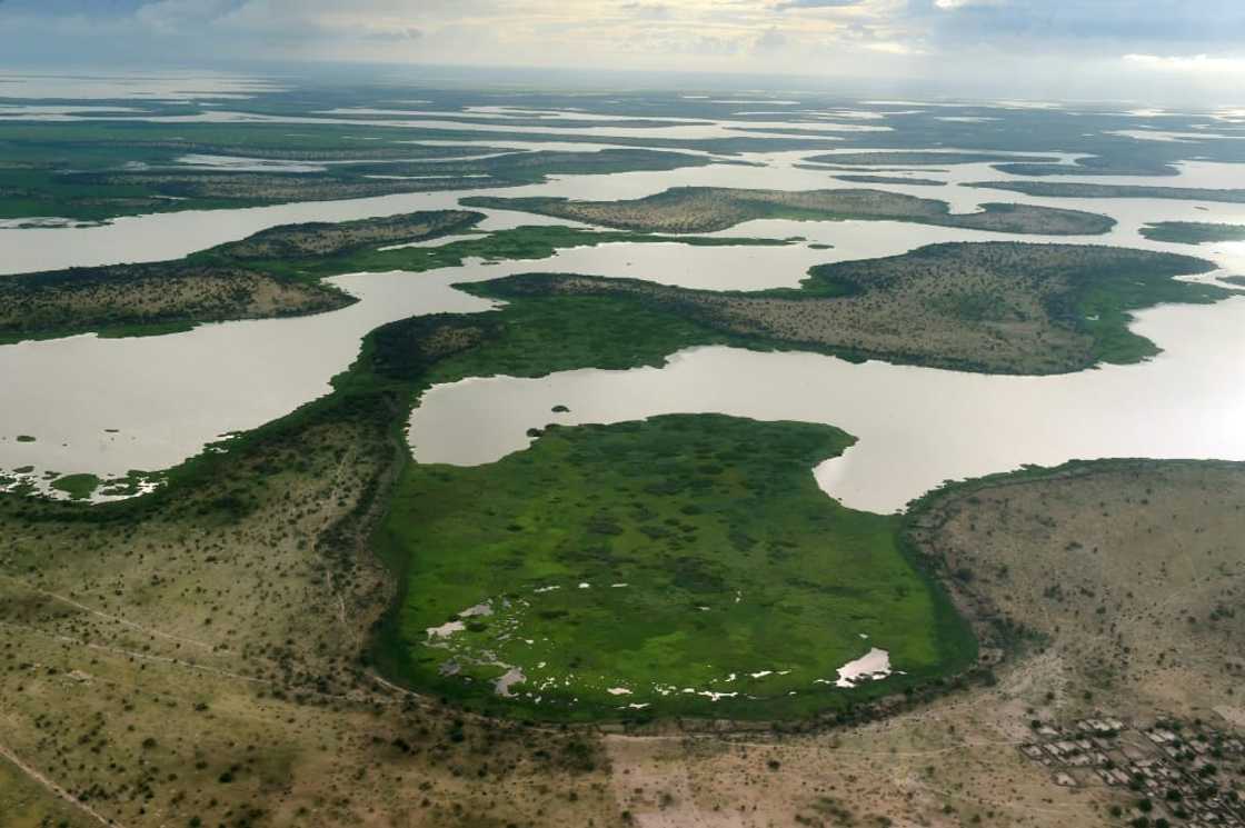 Jihadists have been using islands in the Lake Chad marshlands as boltholes Jihadists have been using islands in the Lake Chad marshlands as boltholes