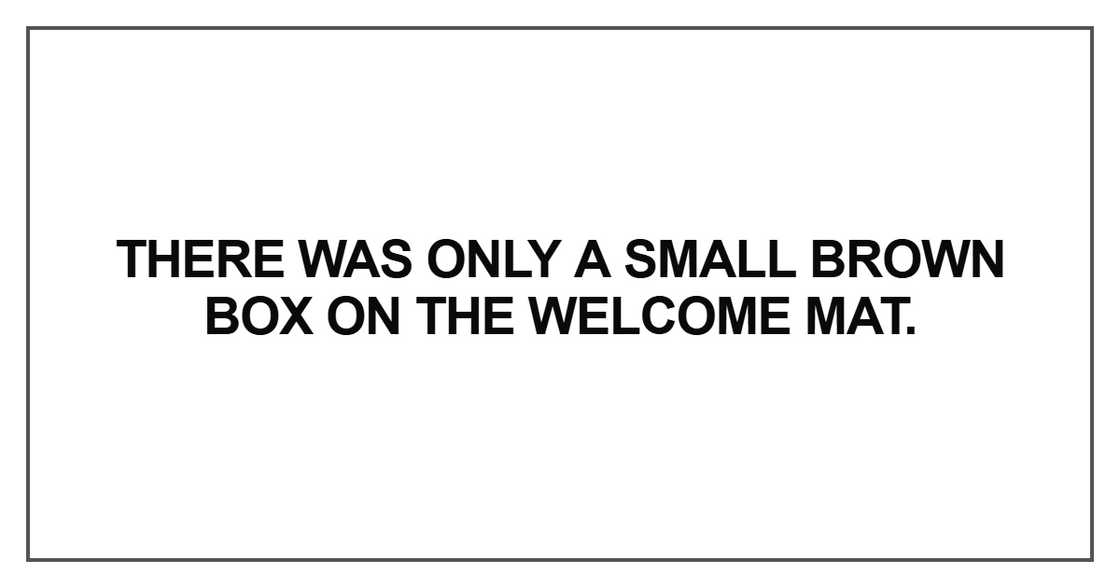 There was only a small brown box on the welcome mat. There was only a small brown box on the welcome mat.