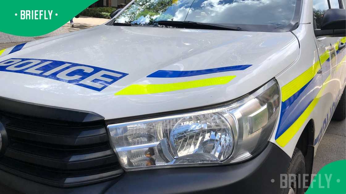 Interpol, border police pounce on Mozambican fugitive in Sandton Interpol, border police pounce on Mozambican fugitive in Sandton