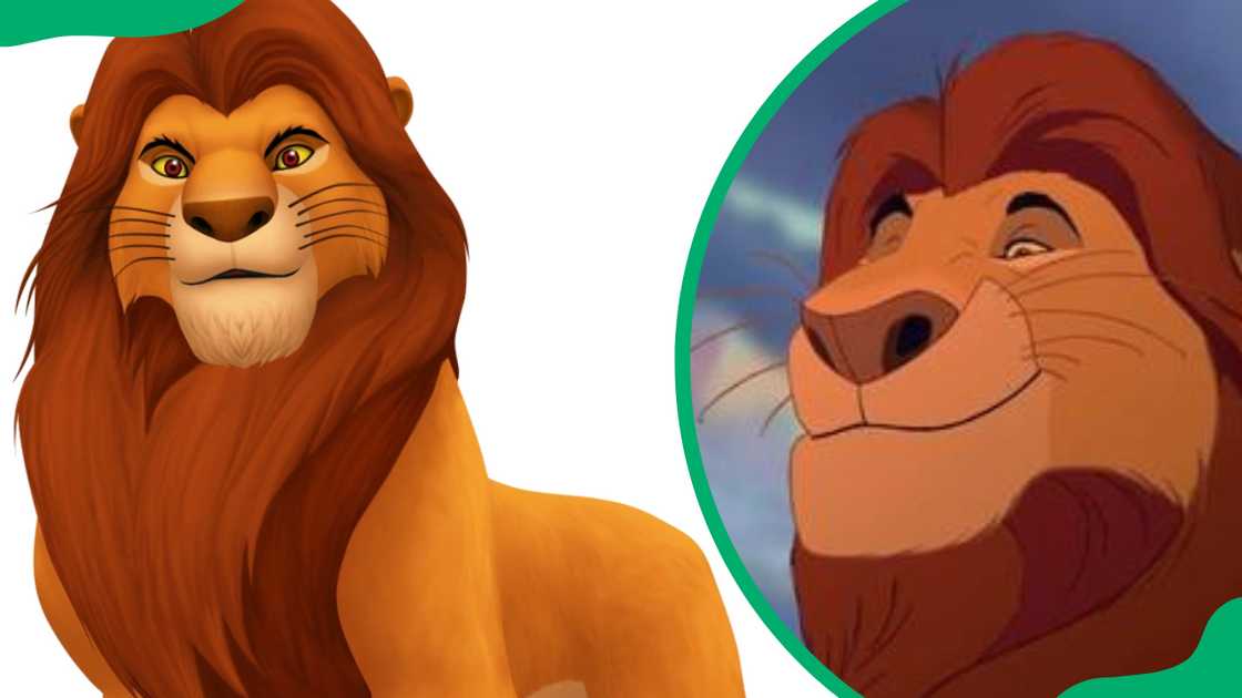 Mufasa the lion king Mufasa the lion king