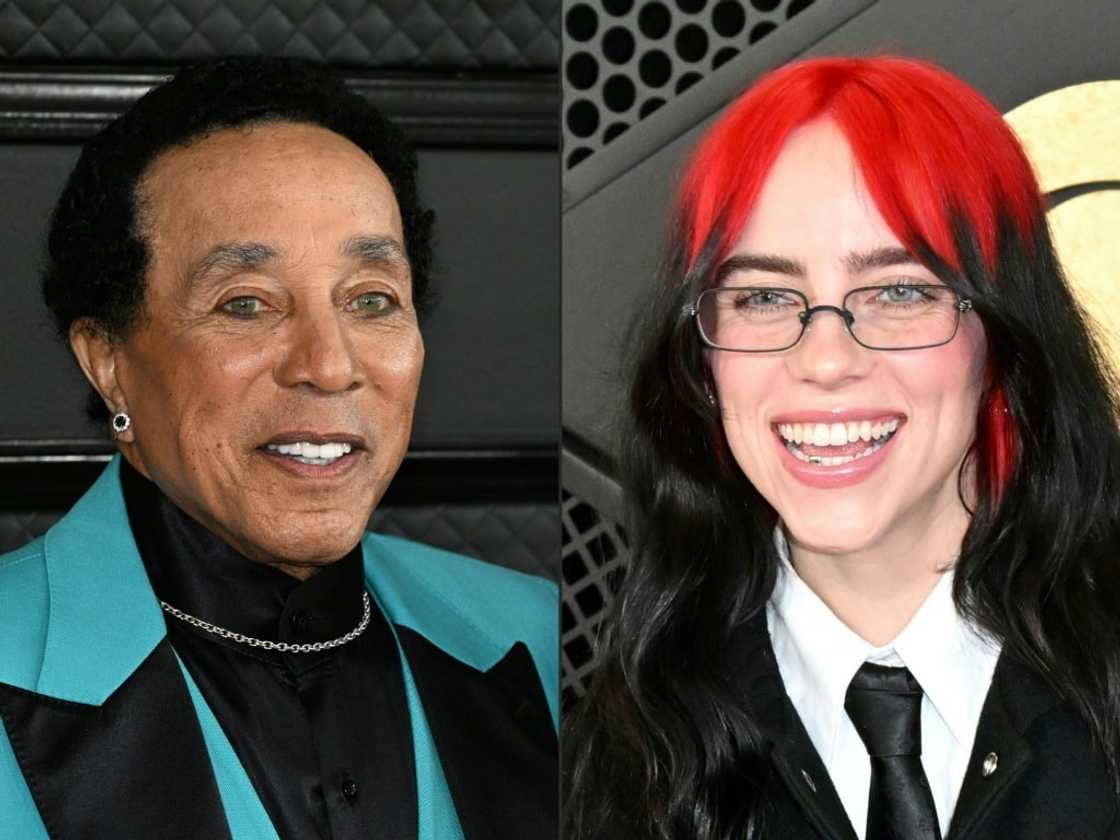 Smokey Robinson and Billie Eilish are amone hundreds of artists who have signed an open letter urging protections over the use of artificial intelligence in the arts Smokey Robinson and Billie Eilish are amone hundreds of artists who have signed an open letter urging protections over the use of artificial intelligence in the arts