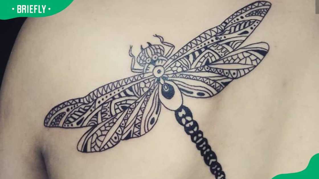 Gigantic wings dragonfly tattoo Gigantic wings dragonfly tattoo