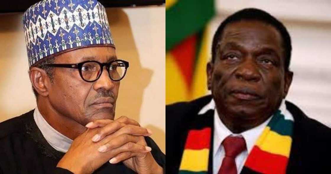 IA off: Maimane, puts Buhari, Mnangagwa in same whatsapp group IA off: Maimane, puts Buhari, Mnangagwa in same whatsapp group