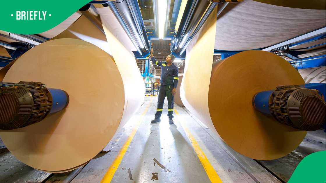 The mill, which is set to be discontinued in March, is South Africa’s only producer of cartonboard.