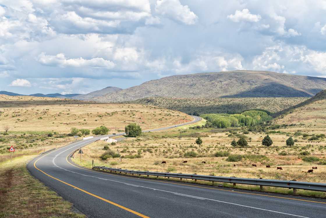 An accident on an Eastern Cape road claimed 15 lives An accident on an Eastern Cape road claimed 15 lives