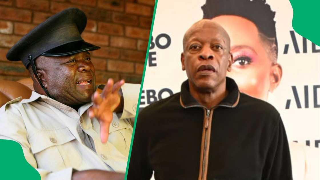 Mzwakhe Mbuli slammed the government for failing Solly Moholo.