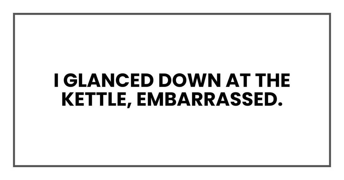 I glanced down at the kettle, embarrassed. I glanced down at the kettle, embarrassed.
