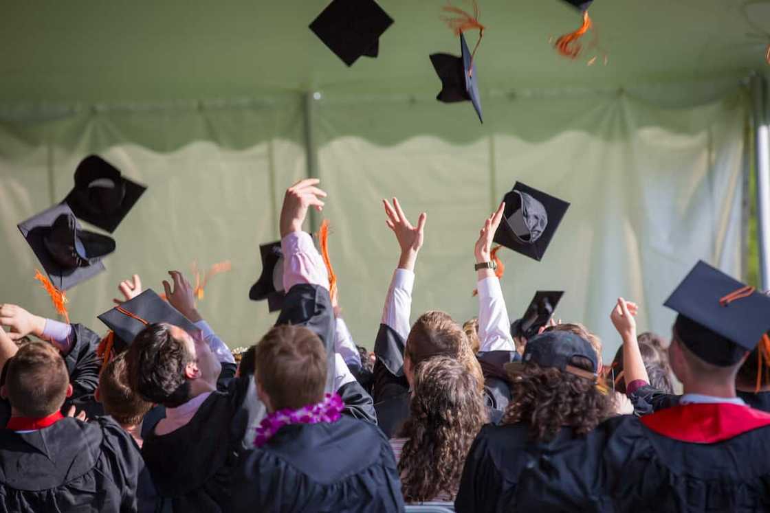 Which courses are offered at Richfield College? Which courses are offered at Richfield College?