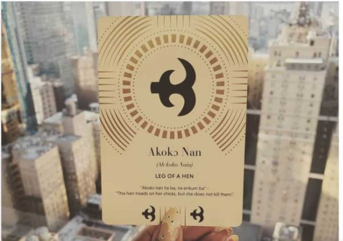 adinkra adinkra
