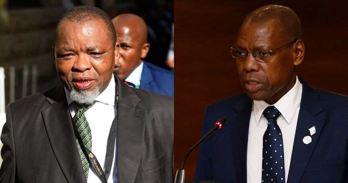 Gwede Mantashe, Mkhize, calls to resign, occupational hazard Gwede Mantashe, Mkhize, calls to resign, occupational hazard