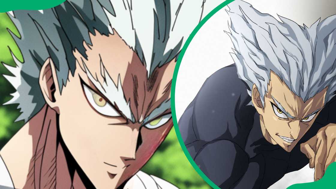 Garou from One Punch Man Garou from One Punch Man