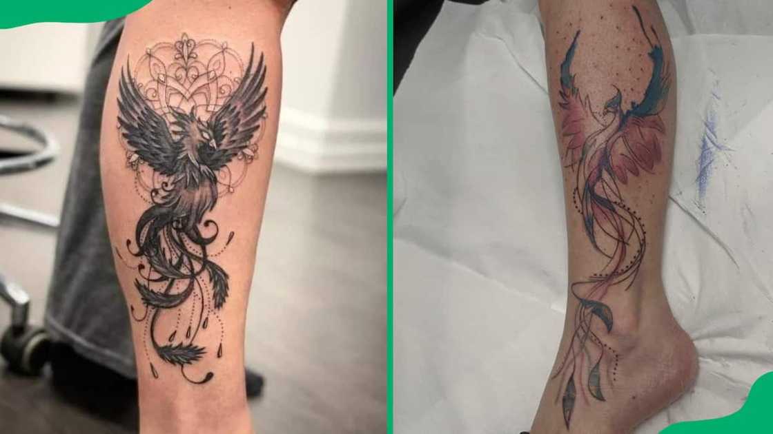 Leg phoenix tattoo Leg phoenix tattoo