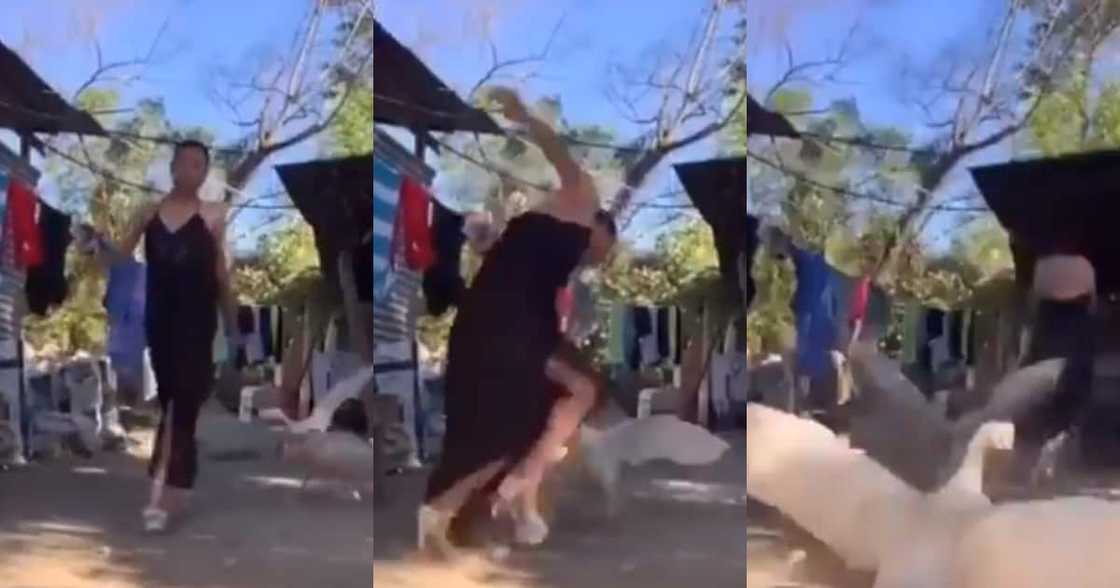 Haibo: Man in Heels Makes Miraculous Escape From Angry Duck Attack Haibo: Man in Heels Makes Miraculous Escape From Angry Duck Attack