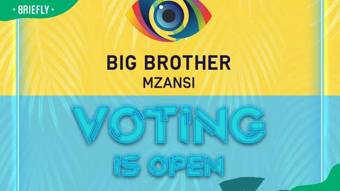 Big Brother Mzansi castings in South Africa