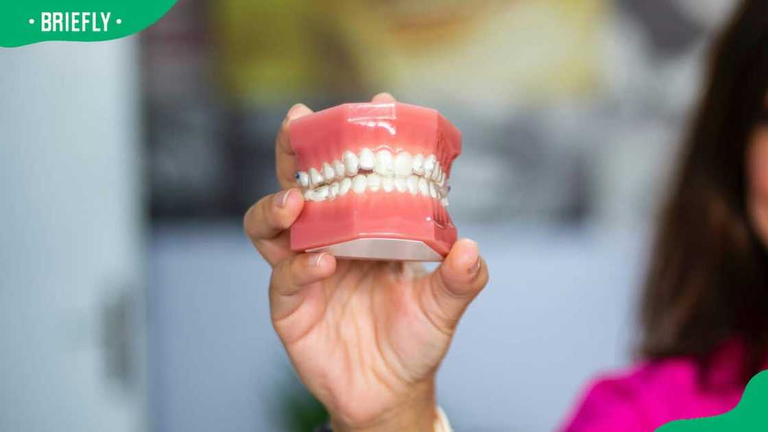 How much do dentures cost in South Africa How much do dentures cost in South Africa