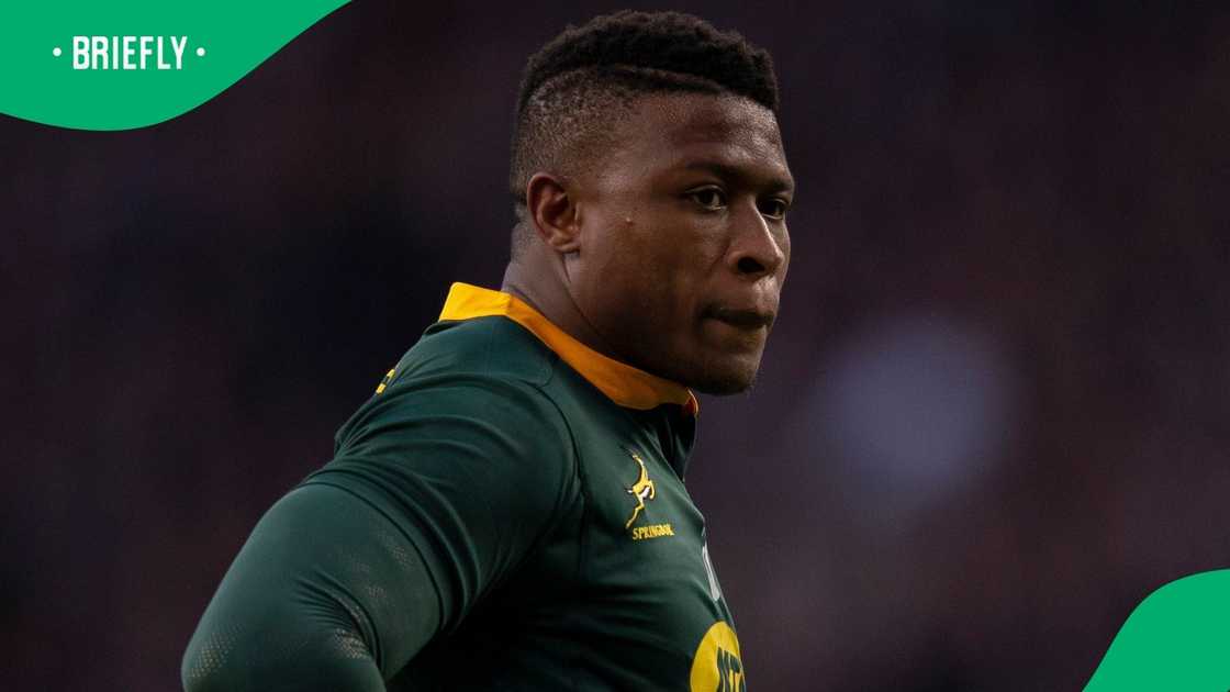 Springboks, Aphiwe Dyantyi, South Africa, England, Quilter Nations Series Springboks, Aphiwe Dyantyi, South Africa, England, Quilter Nations Series