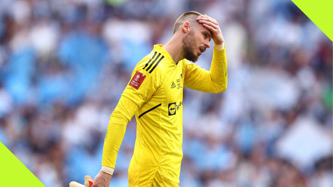 David De Gea Manchester United goalkeeper David De Gea Manchester United goalkeeper