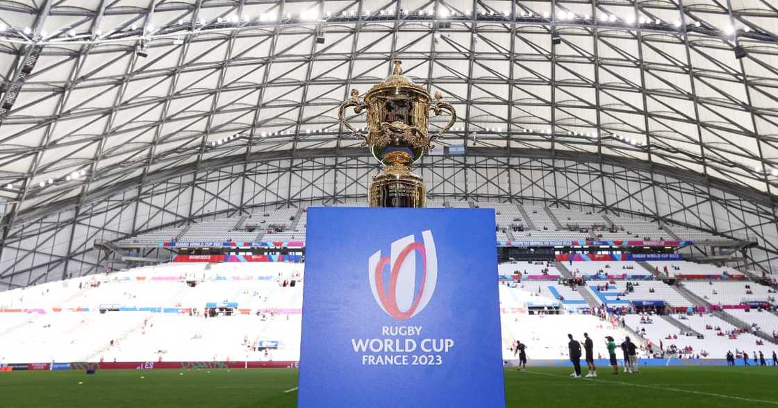 A detailed view of the Webb Ellis Cup A detailed view of the Webb Ellis Cup