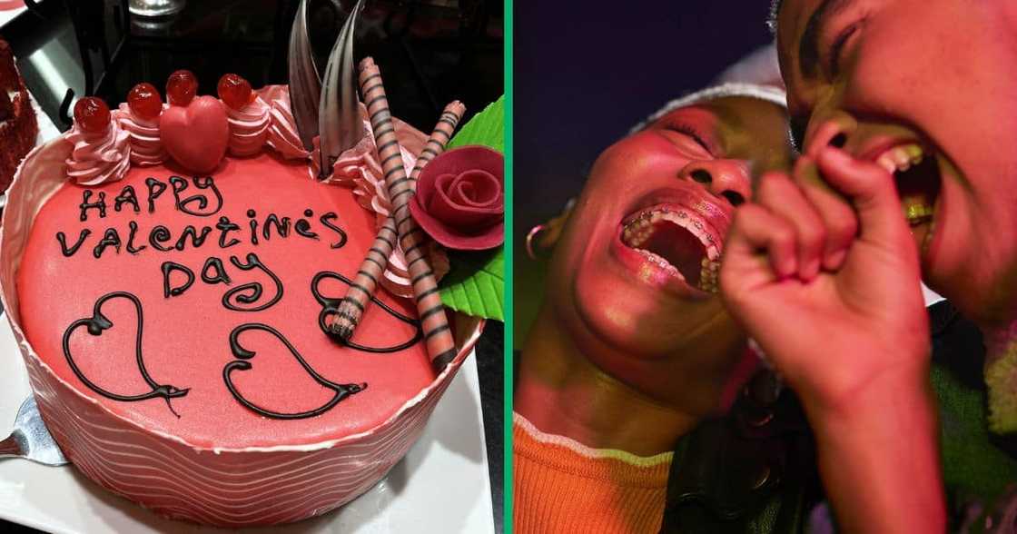 Boxer cakes Boxer cakes