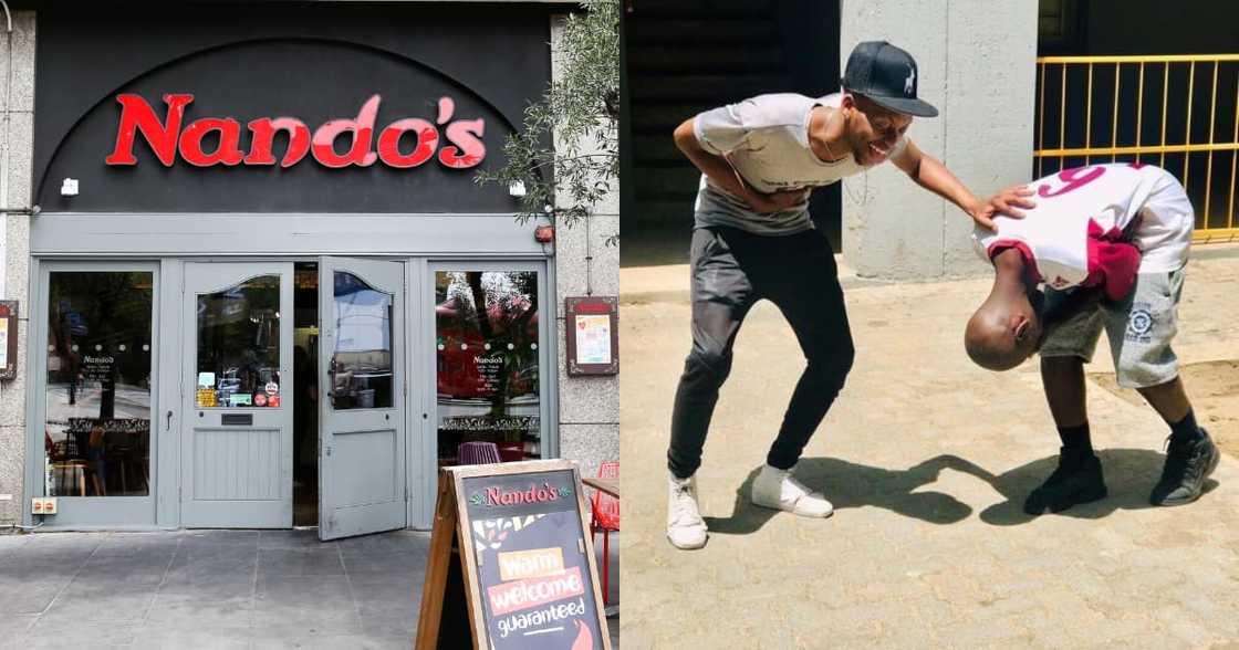 Haibo: Nando's Dubs Clip of Football Playing Chicken Fernando's Torres