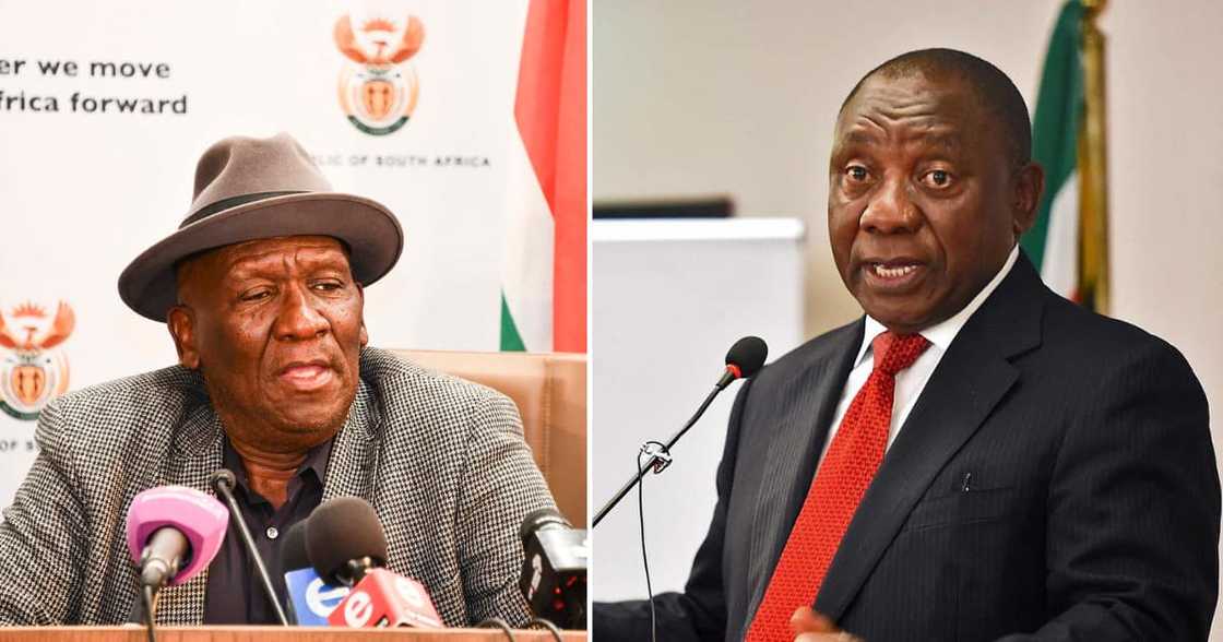Bheki Cele, Cyril Ramaphosa, petition, fire, failure, DA Bheki Cele, Cyril Ramaphosa, petition, fire, failure, DA