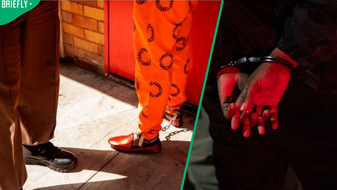 warden arrest warden arrest