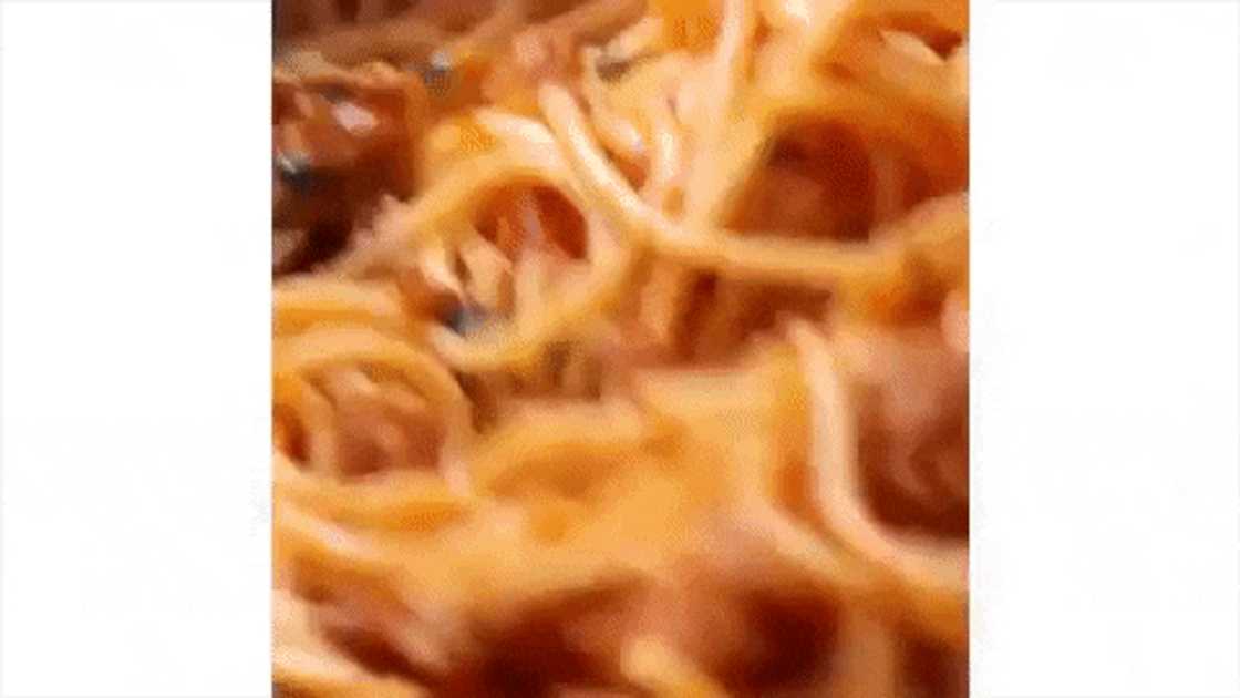 spaghetti and mince recipes spaghetti and mince recipes