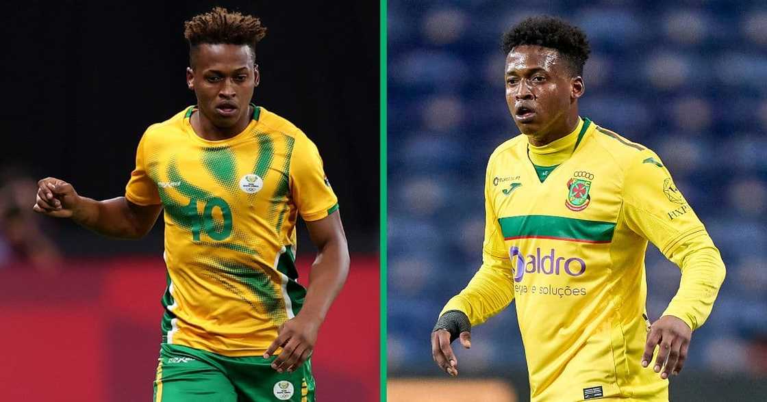 Luther Singh could be a a new Kaizer Chiefs player Luther Singh could be a a new Kaizer Chiefs player