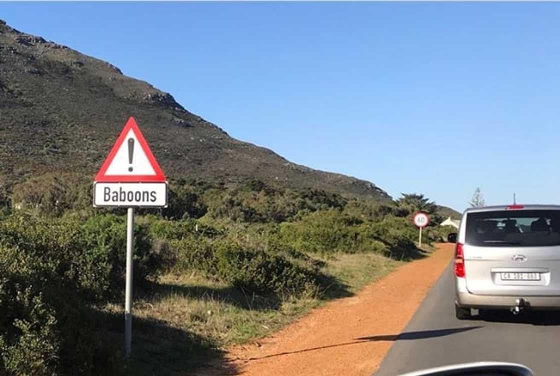Road signs in South Africa and their meanings Road signs in South Africa and their meanings