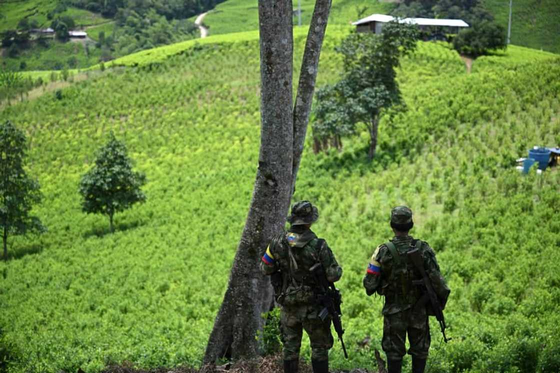 For rural youth with few opportunities the armed groups offer a prospect of financial stability For rural youth with few opportunities the armed groups offer a prospect of financial stability