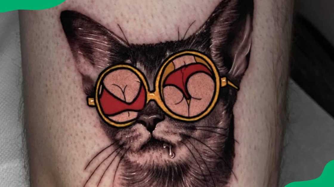 Cat with sunglasses Cat with sunglasses