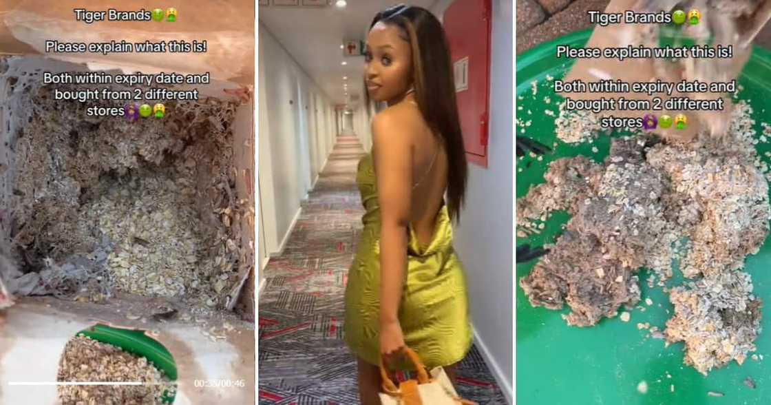 Horrifying Jungle Oats Horrifying Jungle Oats