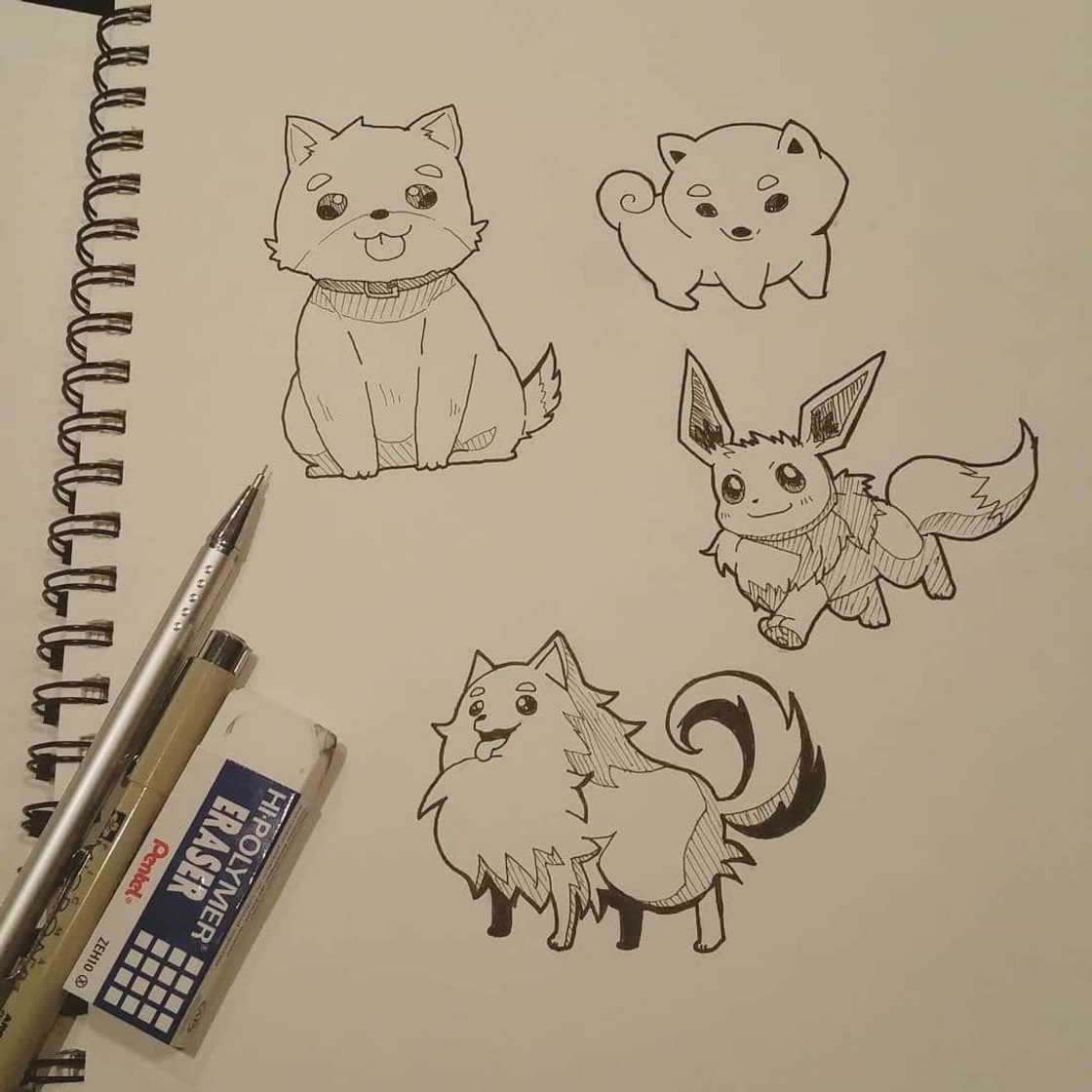 LilyPichu art LilyPichu art