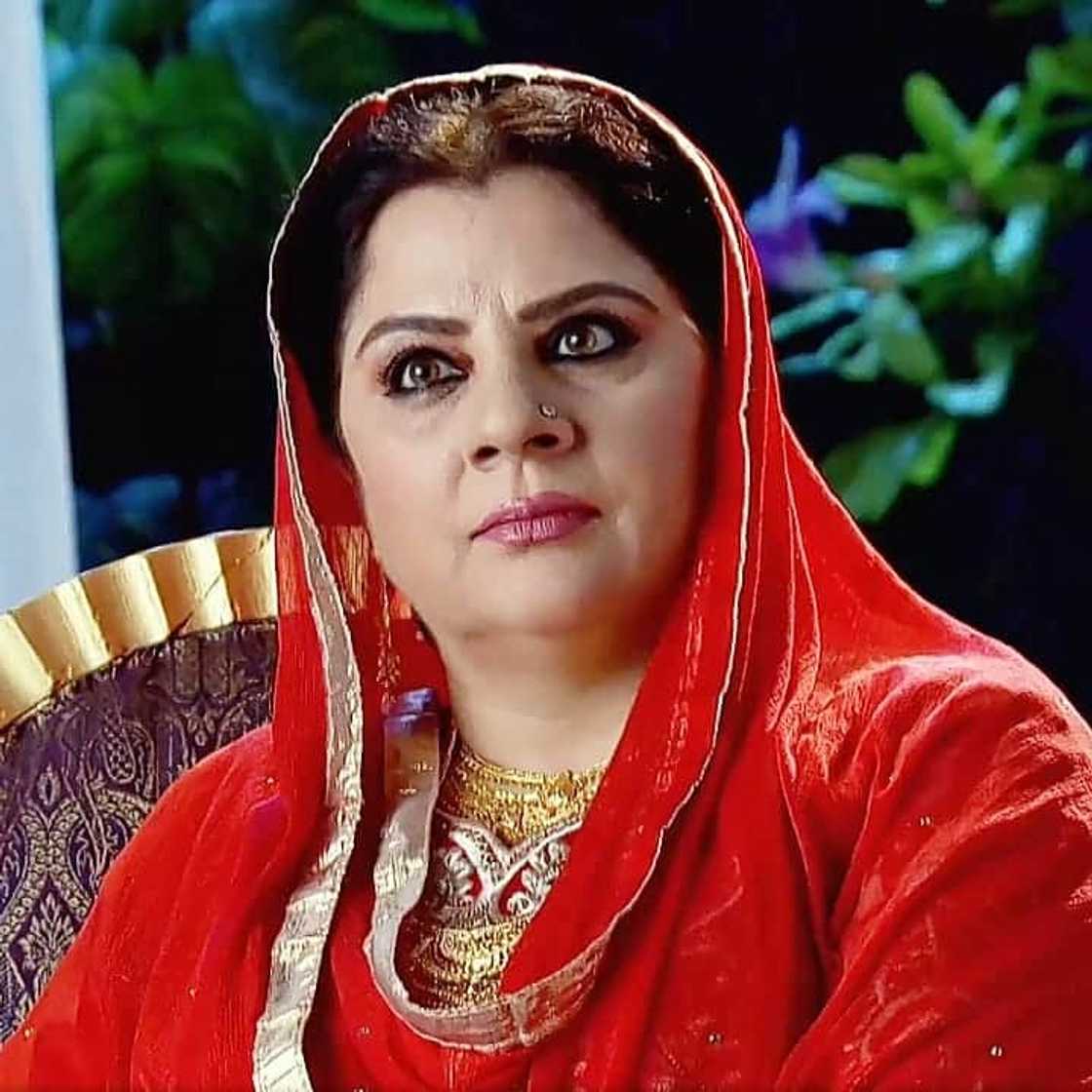Kindred Hearts Zee World Kindred Hearts Zee World