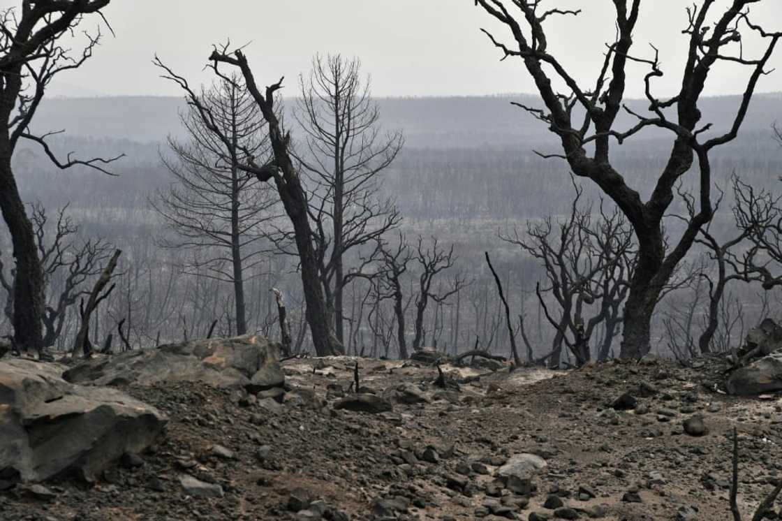 Climate scientists have repeatedly warned that man-made global warming will bring more extreme weather events Climate scientists have repeatedly warned that man-made global warming will bring more extreme weather events