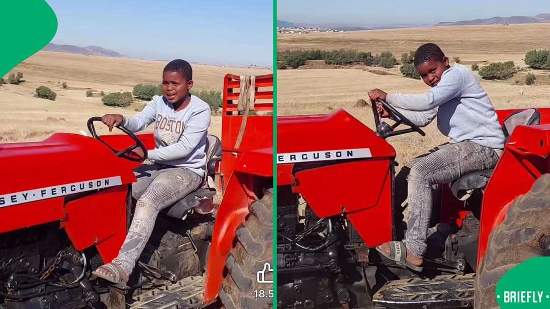 A little boy flexed his tractor skills in a video, which impressed South Africans. A little boy flexed his tractor skills in a video, which impressed South Africans.