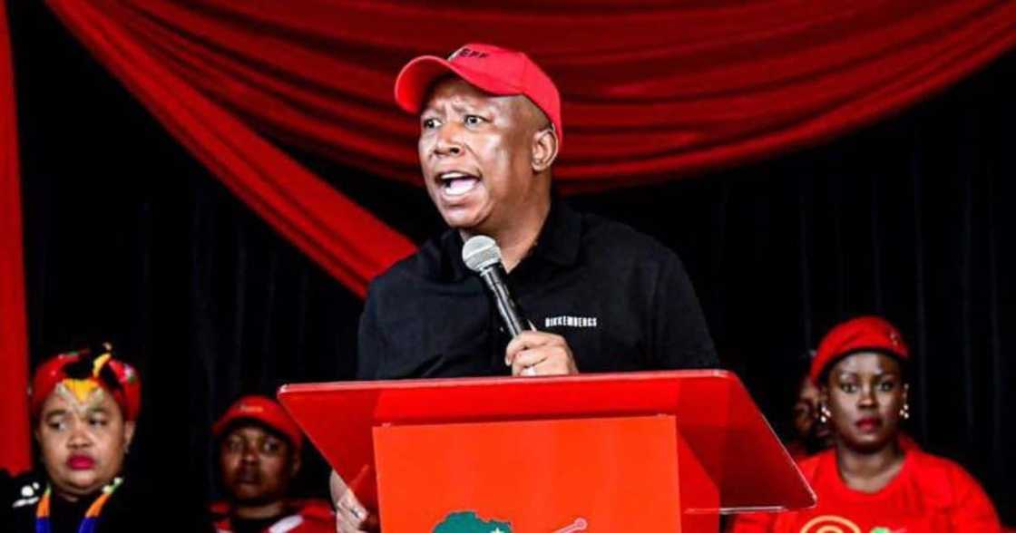 Julius Malema Julius Malema