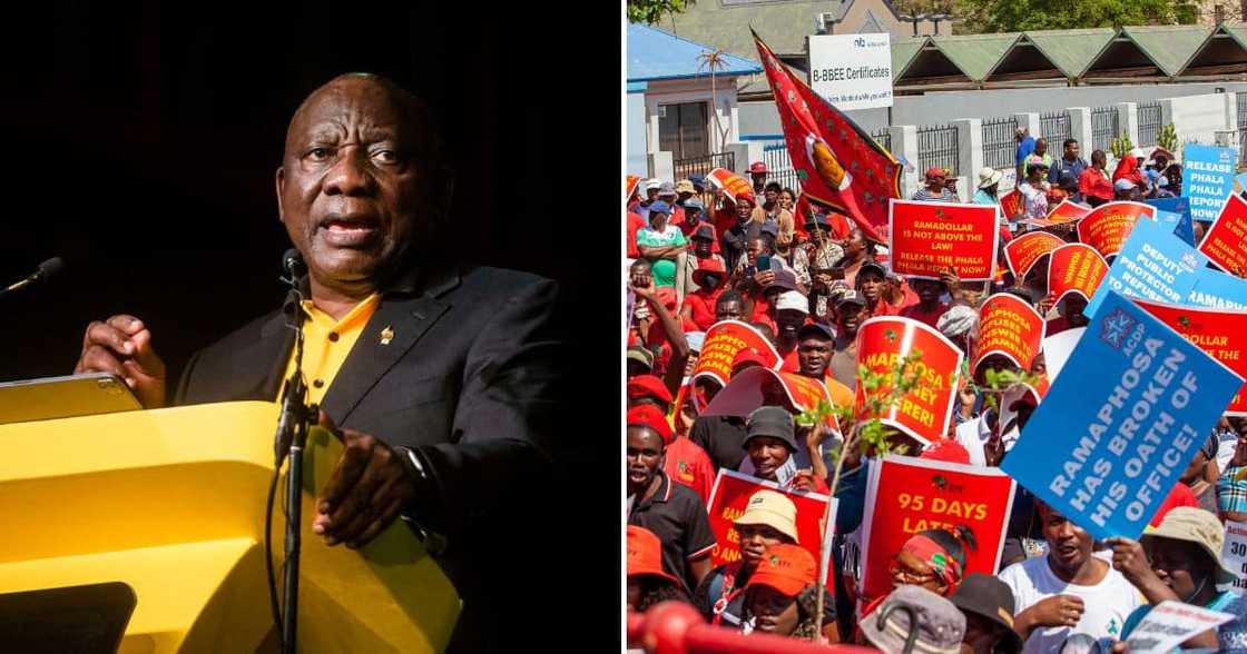 EFF_Cyril Ramaphosa EFF_Cyril Ramaphosa