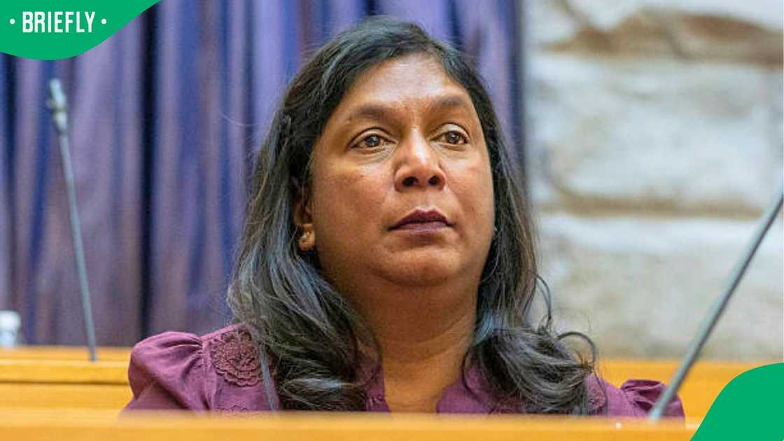 Advocate Andrea Johnson was questioned about her husband's appointment in Parliament